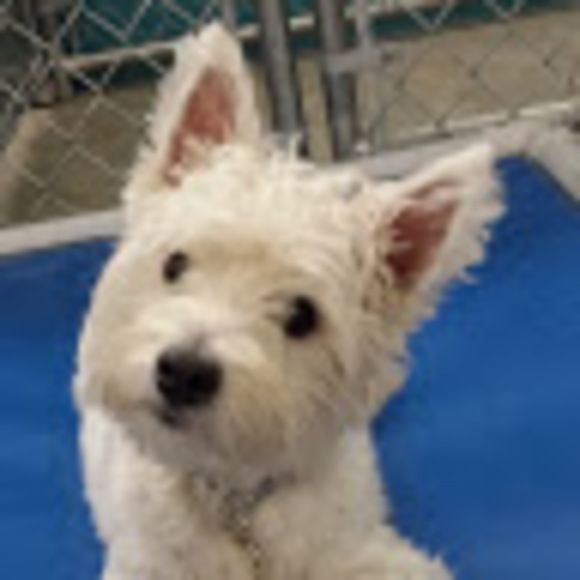 Meet your Posher, Mary - Picture 1 of 1